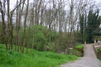 IMG_0016.jpg