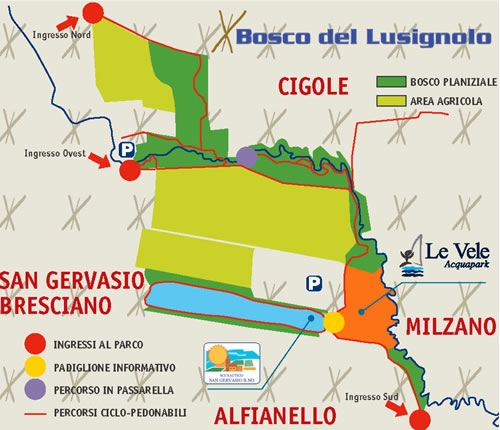 Mappa stilizzata del bosco